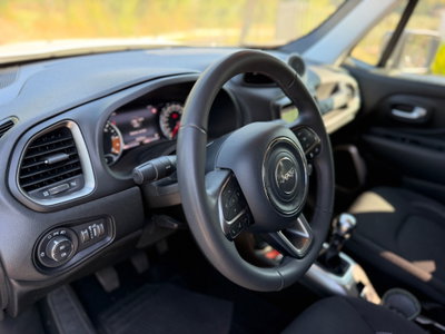 Jeep Renegade 1.6 Mjt 130 CV Limited (12)