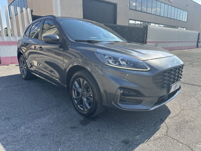 Ford Kuga 2.5 Plug In Hybrid 225 CV CVT 2WD ST-Line X Design (3)