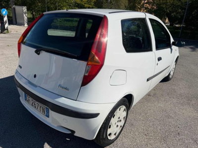 Fiat Punto 1.2i 16V cat 3 porte Verve (13)