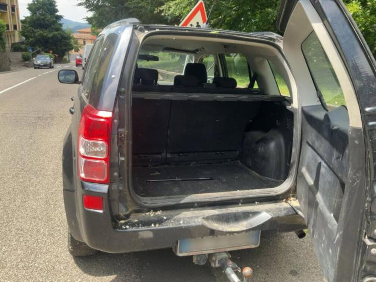 Suzuki Grand Vitara 1.9 DDiS 5 porte Crossover (15)