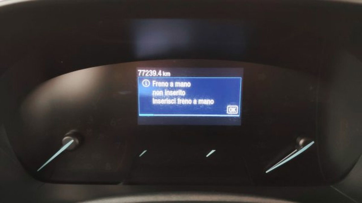 Ford Focus 1.0 EcoBoost Hybrid 125 CV Powershift 5p. Active X (10)