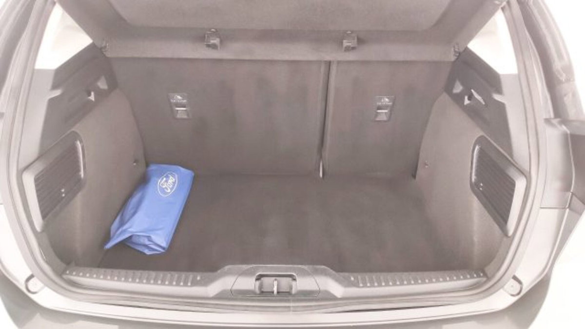 Ford Focus 1.0 EcoBoost Hybrid 125 CV Powershift 5p. Active X (15)