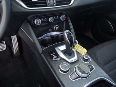 Alfa Romeo Stelvio Stelvio 2.2 Turbodiesel 190 CV AT8 Q4 Super Business (12)