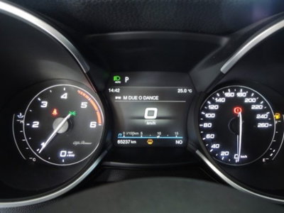 Alfa Romeo Stelvio Stelvio 2.2 Turbodiesel 190 CV AT8 Q4 Super Business (9)