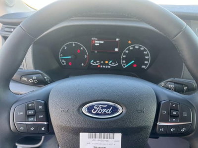 Ford Transit Furgone 310 2.0TDCi EcoBlue 130 aut. PM-TM Furgone Trend (9)