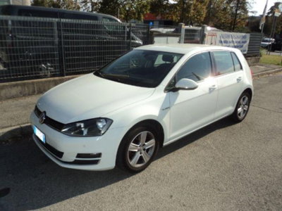 Volkswagen Golf 1.4 TGI DSG 5p. Highline BlueMotion (2)