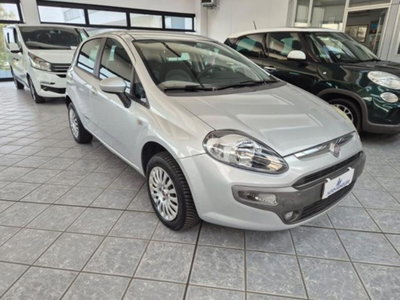 Fiat Punto Evo 1.4 5 porte Dynamic Natural Power (3)