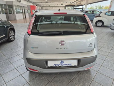 Fiat Punto Evo 1.4 5 porte Dynamic Natural Power (5)
