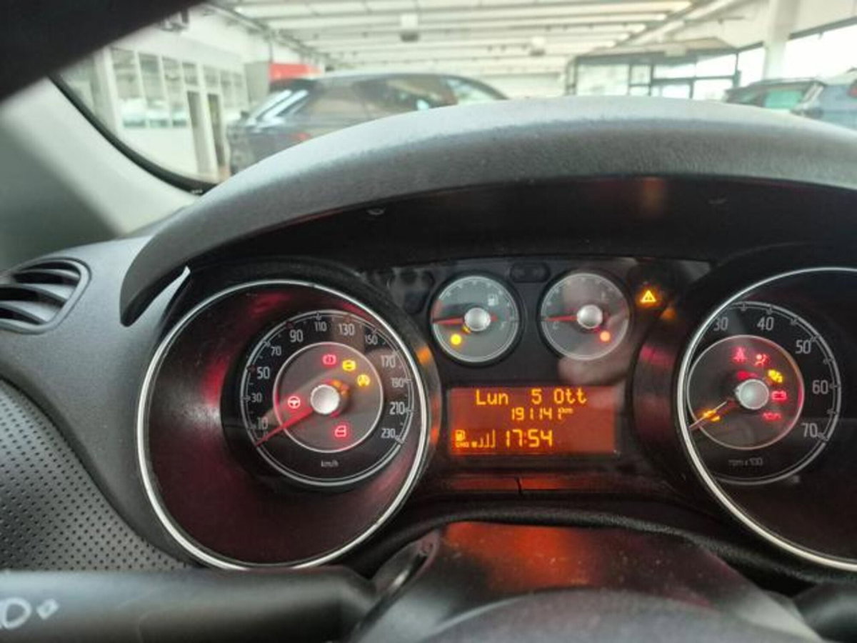 Fiat Punto Evo 1.4 5 porte Dynamic Natural Power (9)