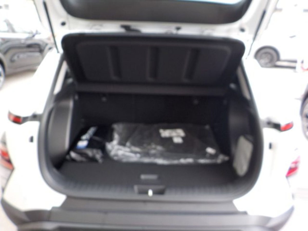 Hyundai Bayon 1.0 t-gdi Dark Line 90cv mt (17)