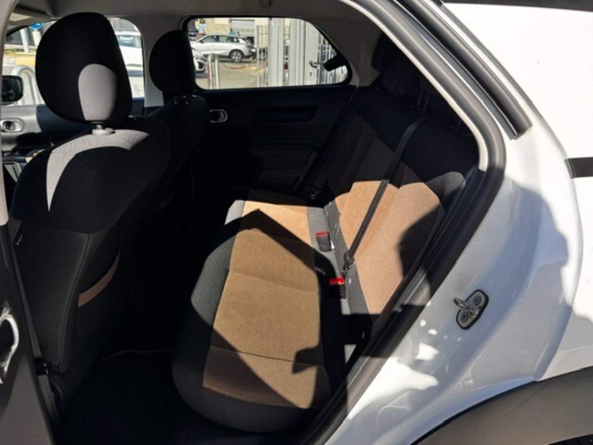 Citroen C4 Cactus BlueHDi 100 S&S Shine (13)
