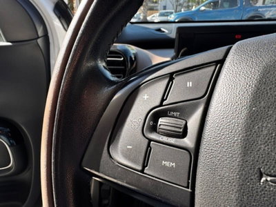 Citroen C4 Cactus BlueHDi 100 S&S Shine (20)