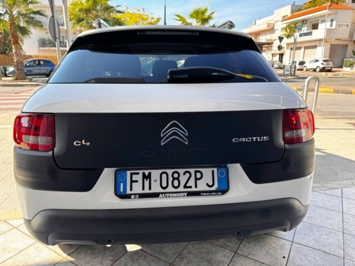 Citroen C4 Cactus BlueHDi 100 S&S Shine (5)