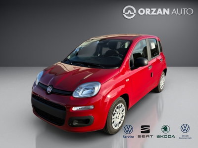 Fiat Panda 1.0 FireFly S&S Hybrid City Life nuova