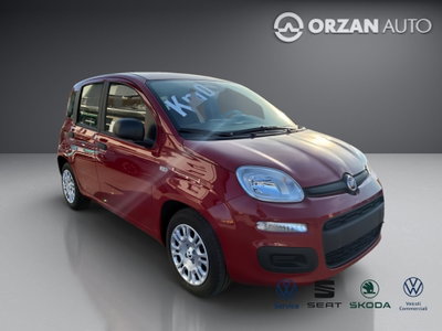 Fiat Panda 1.0 FireFly S&S Hybrid City Life (9)