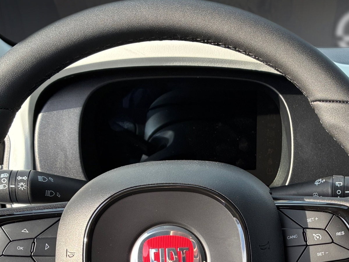 Fiat Panda 1.0 FireFly S&S Hybrid (16)
