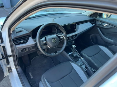 Skoda Kamiq 1.0 tsi Style 115cv dsg (9)