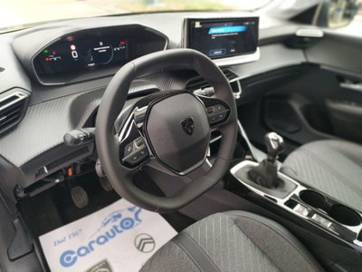Peugeot 208 PureTech 100 Stop&Start 5 porte Allure (18)