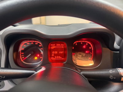 Fiat Panda 1.0 FireFly S&S Hybrid City Cross (11)