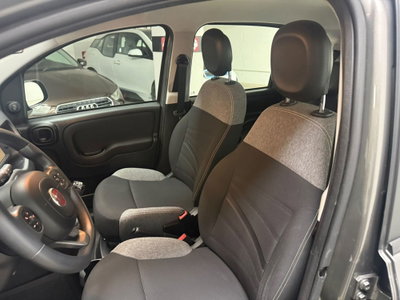 Fiat Panda 1.0 FireFly S&S Hybrid City Cross (8)