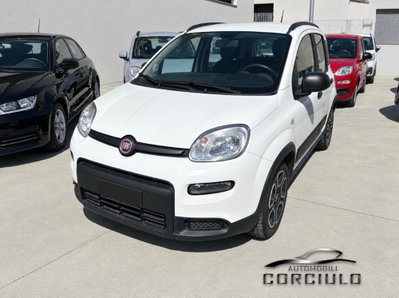 Fiat Panda 1.0 FireFly S&S Hybrid City Cross usata