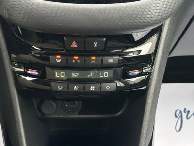 Peugeot 2008 Turbo 110 S&S Allure (15)