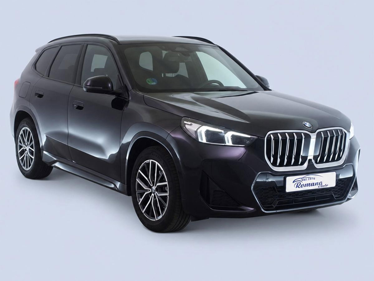BMW X1 sDrive20d Msport (2)