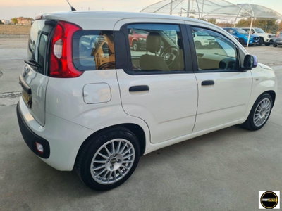 Fiat Panda 1.2 Lounge (4)