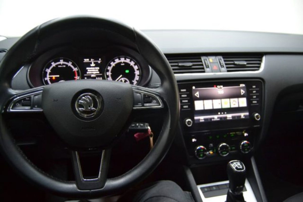 Skoda Octavia Station Wagon 1.5 G-TEC DSG Wagon Ambition (15)