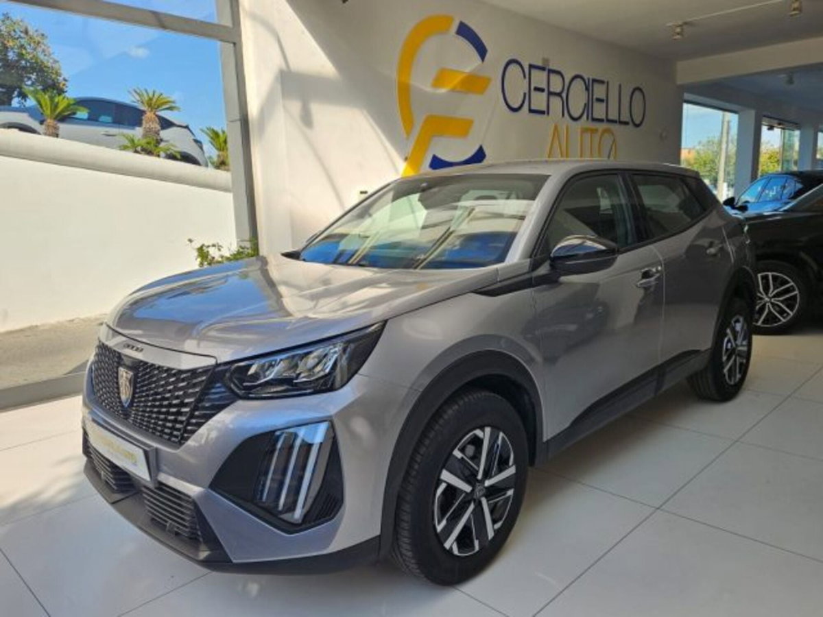 Peugeot 2008 PureTech 100 S&S Active (2)