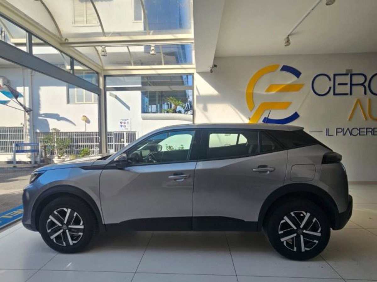 Peugeot 2008 PureTech 100 S&S Active (7)
