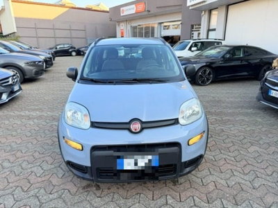 Fiat Panda 1.0 firefly hybrid s&s 70cv 5p.ti (2)