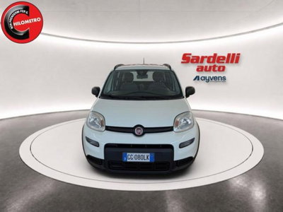 Fiat Panda 1.0 firefly hybrid s&s 70cv 5p.ti (5)