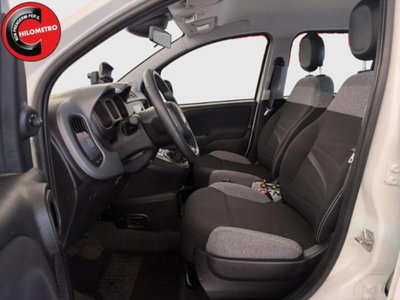 Fiat Panda 1.0 firefly hybrid s&s 70cv 5p.ti (7)