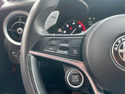 Alfa Romeo Stelvio Stelvio 2.2 Turbodiesel 180 CV AT8 RWD Business (19)