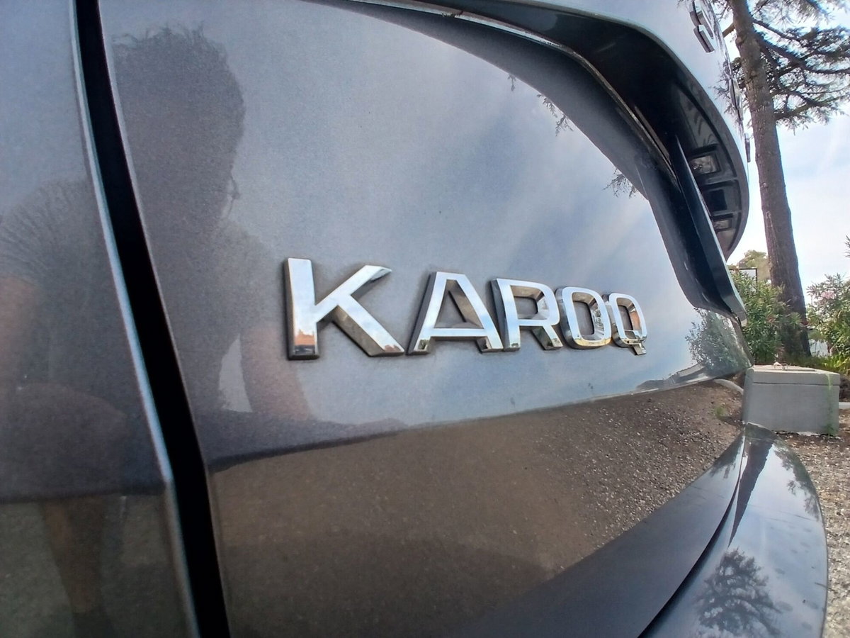 Skoda Karoq 1.0 TSI 110 CV Executive (14)
