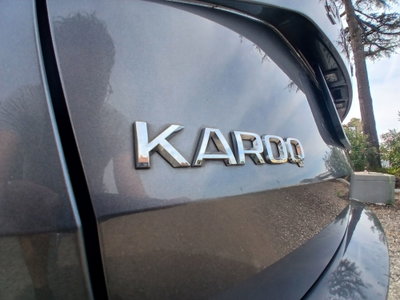 Skoda Karoq 1.0 TSI 110 CV Executive (14)