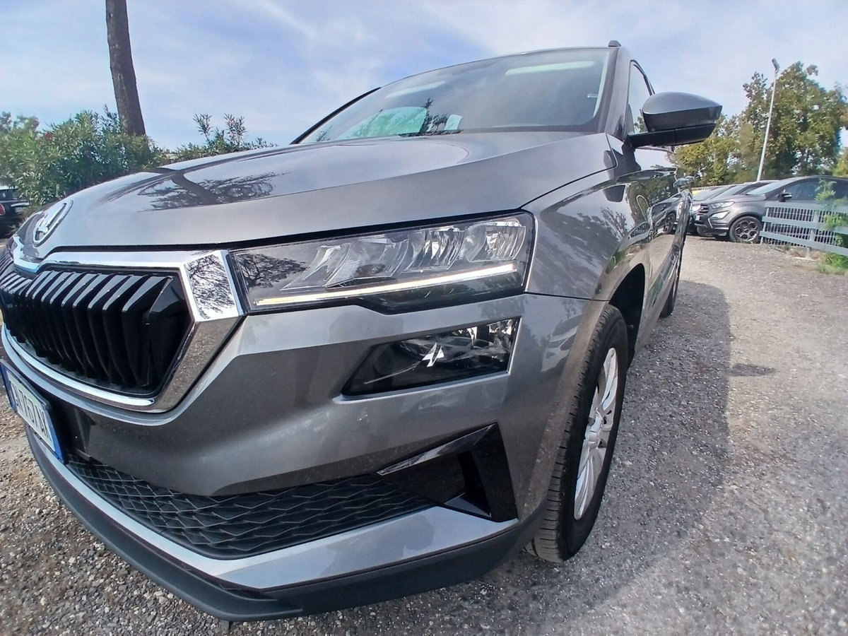 Skoda Karoq 1.0 TSI 110 CV Executive (9)