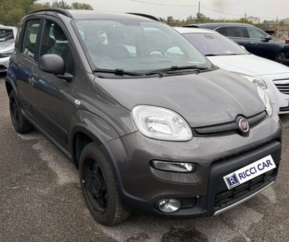 Fiat Panda 0.9 TwinAir Turbo S&S 4x4 Wild (2)