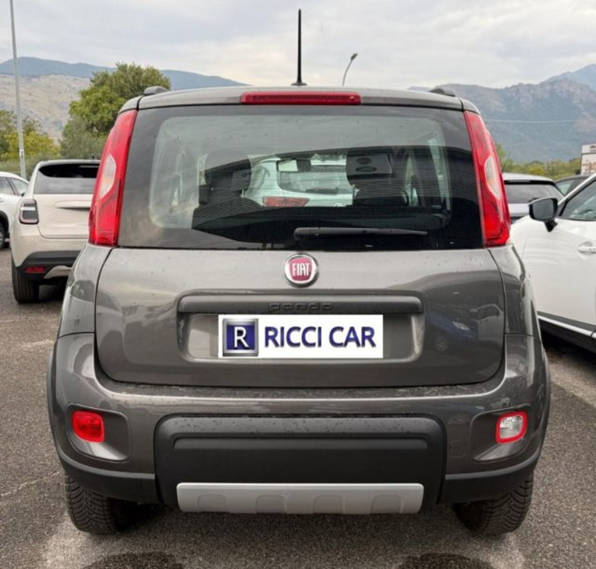Fiat Panda 0.9 TwinAir Turbo S&S 4x4 Wild (5)