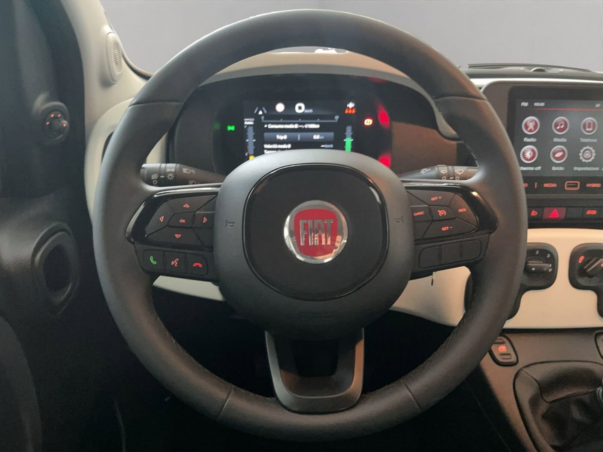 Fiat Panda Cross Cross 1.0 FireFly S&S Hybrid (10)