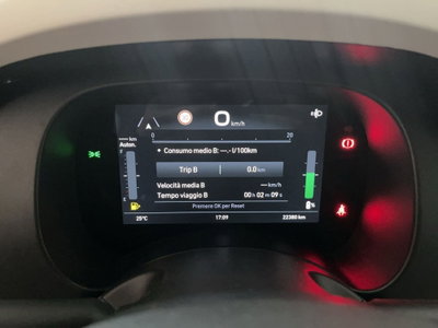 Fiat Panda Cross Cross 1.0 FireFly S&S Hybrid (11)