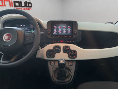 Fiat Panda Cross Cross 1.0 FireFly S&S Hybrid (15)