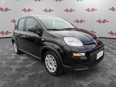 Fiat Panda Cross Cross 1.0 FireFly S&S Hybrid usata