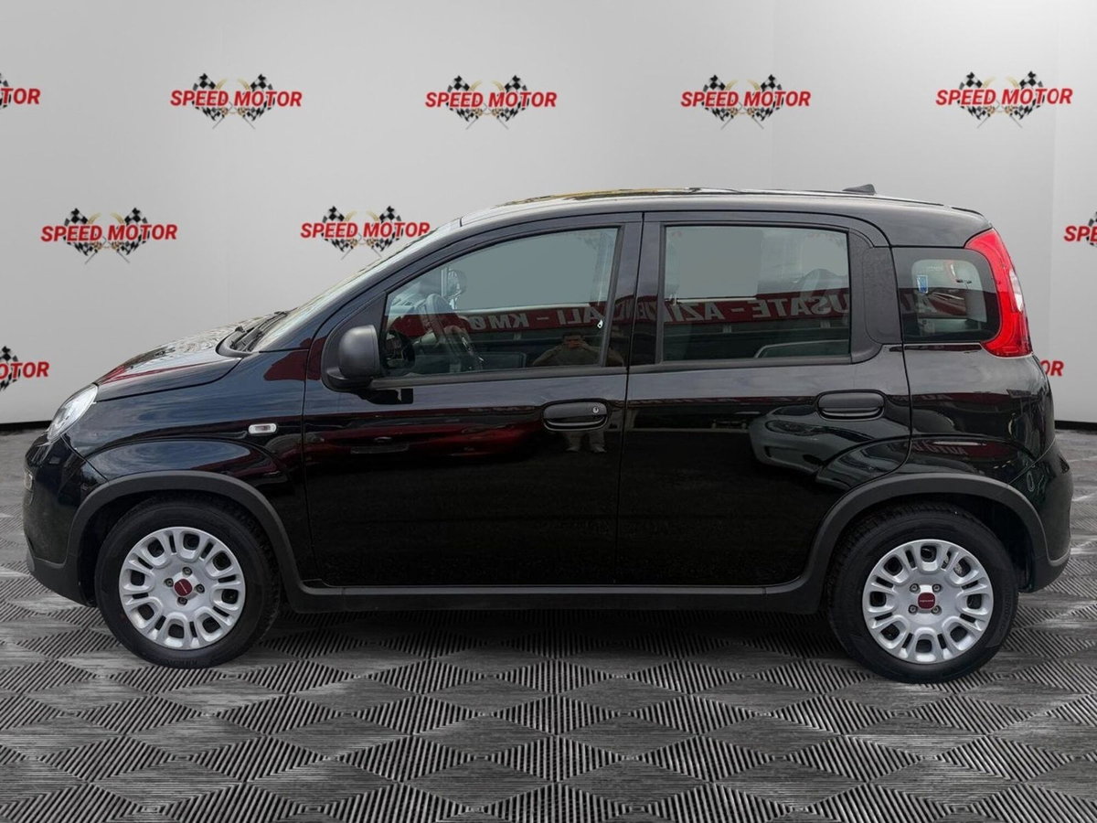 Fiat Panda Cross Cross 1.0 FireFly S&S Hybrid (3)
