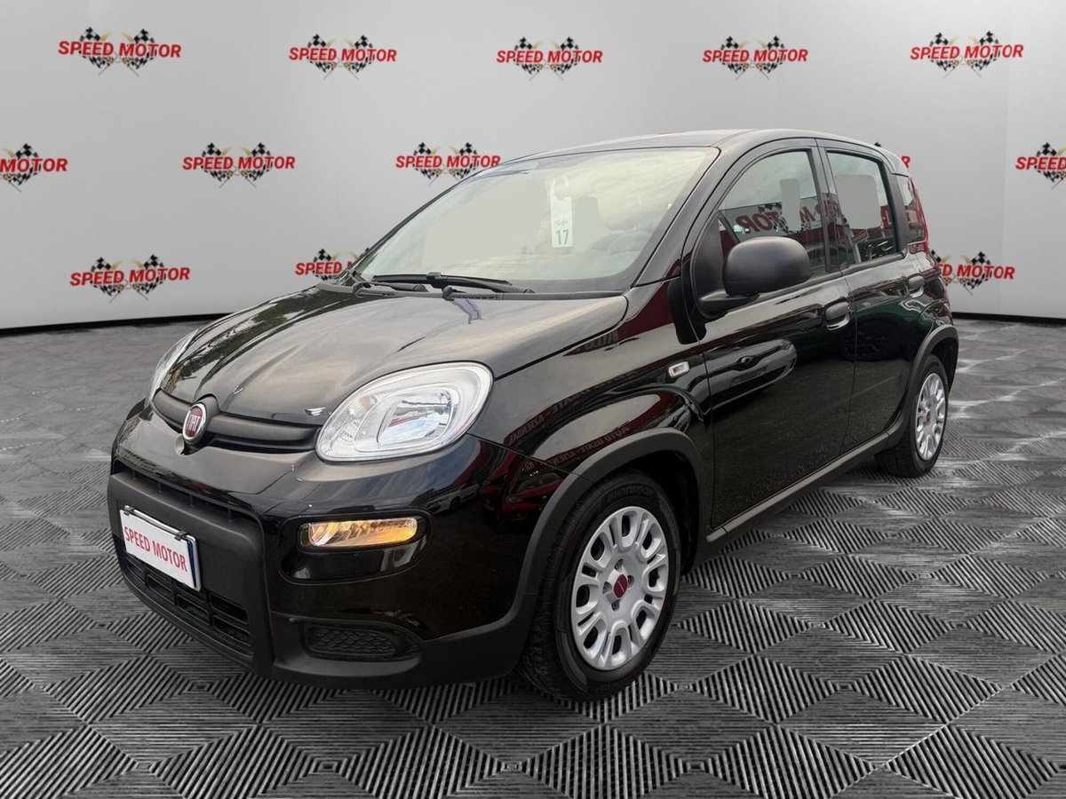 Fiat Panda Cross Cross 1.0 FireFly S&S Hybrid (4)