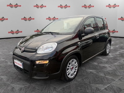 Fiat Panda Cross Cross 1.0 FireFly S&S Hybrid (4)