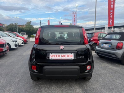 Fiat Panda Cross Cross 1.0 FireFly S&S Hybrid (6)
