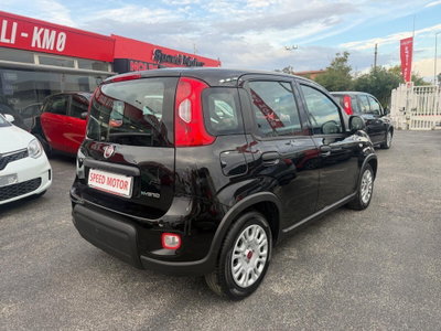 Fiat Panda Cross Cross 1.0 FireFly S&S Hybrid (7)