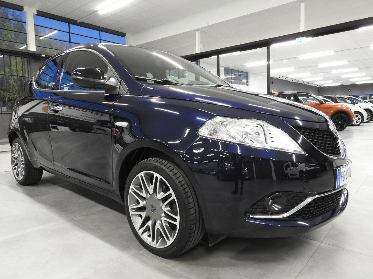 Lancia Ypsilon 1.3 MJT 16V 95 CV 5 porte S&S Platinum (10)